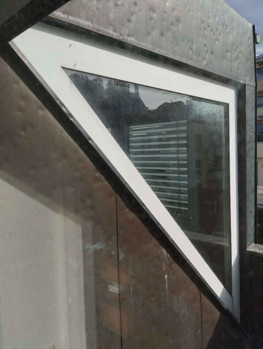 Bienen umsiedeln &  Bienennest entfernen 