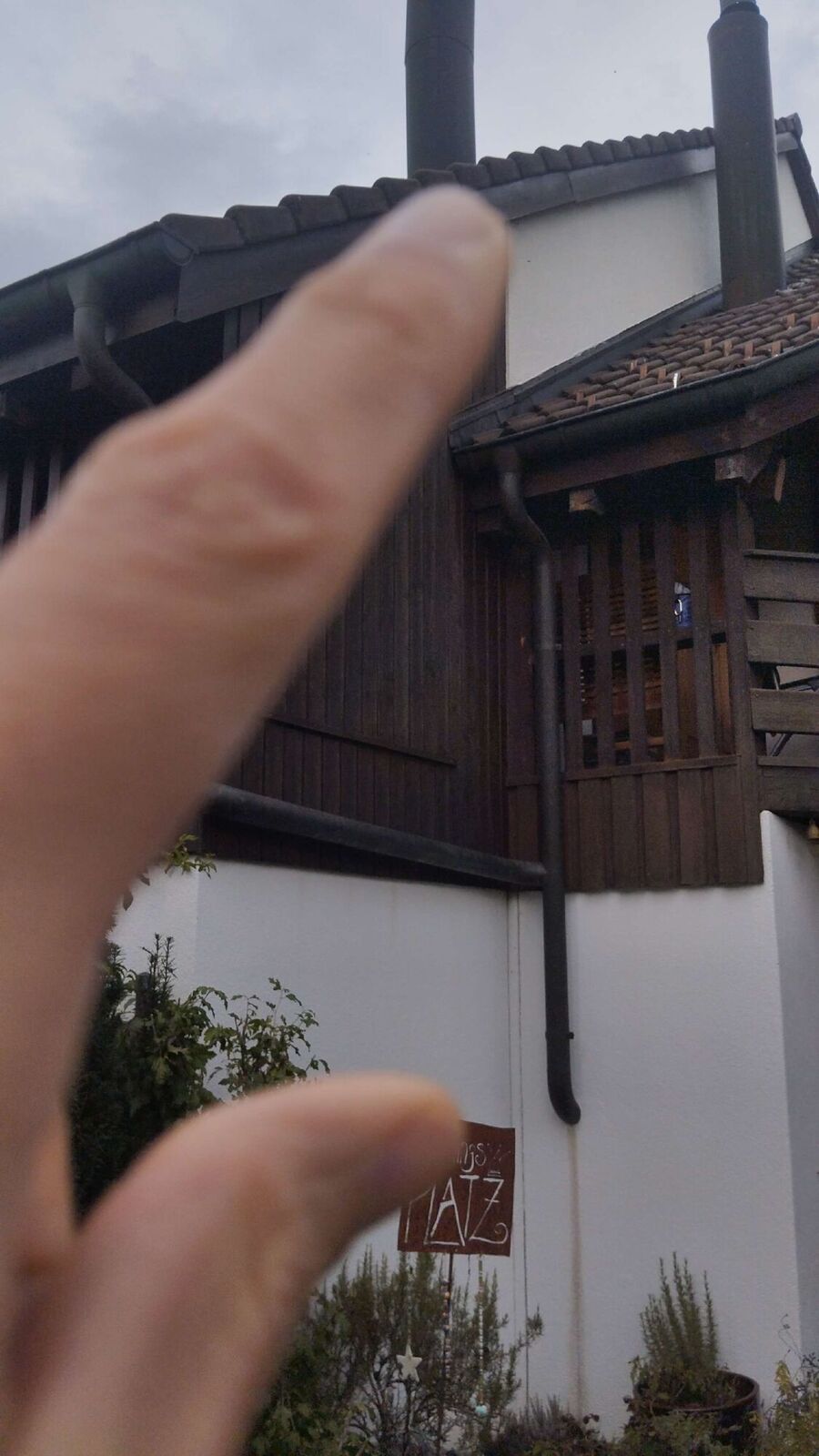 Bienen umsiedeln &  Bienennest entfernen 