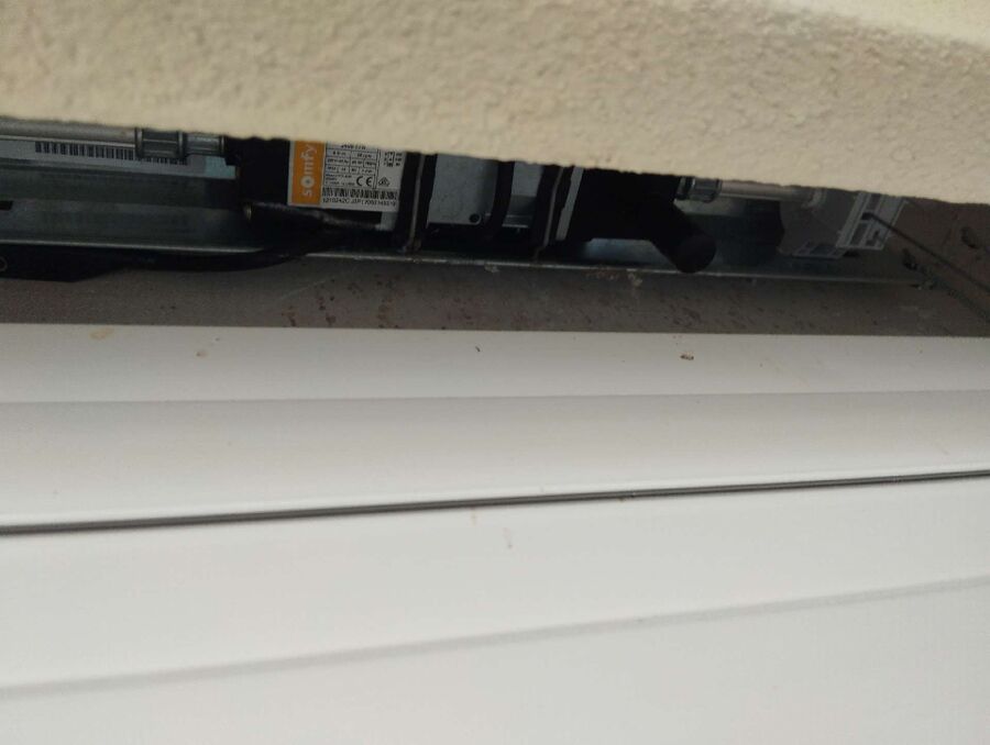 Bienen umsiedeln &  Bienennest entfernen 