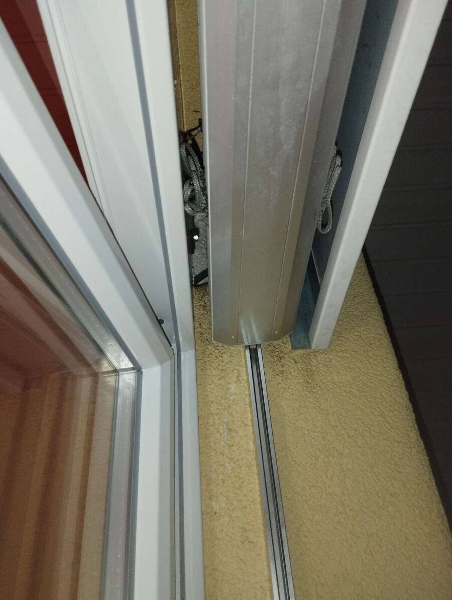 Bienen umsiedeln &  Bienennest entfernen 