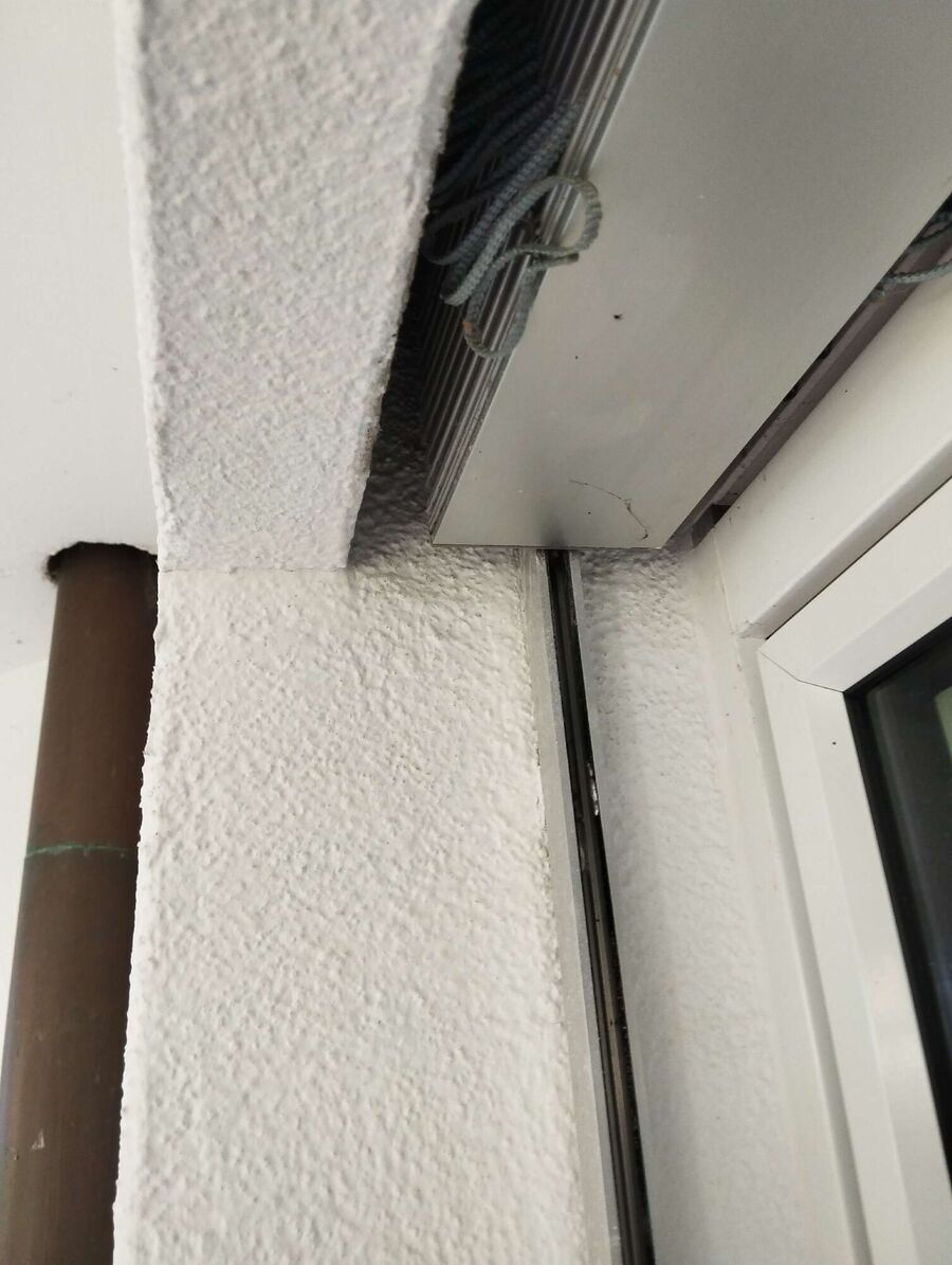  Bienennest entfernen