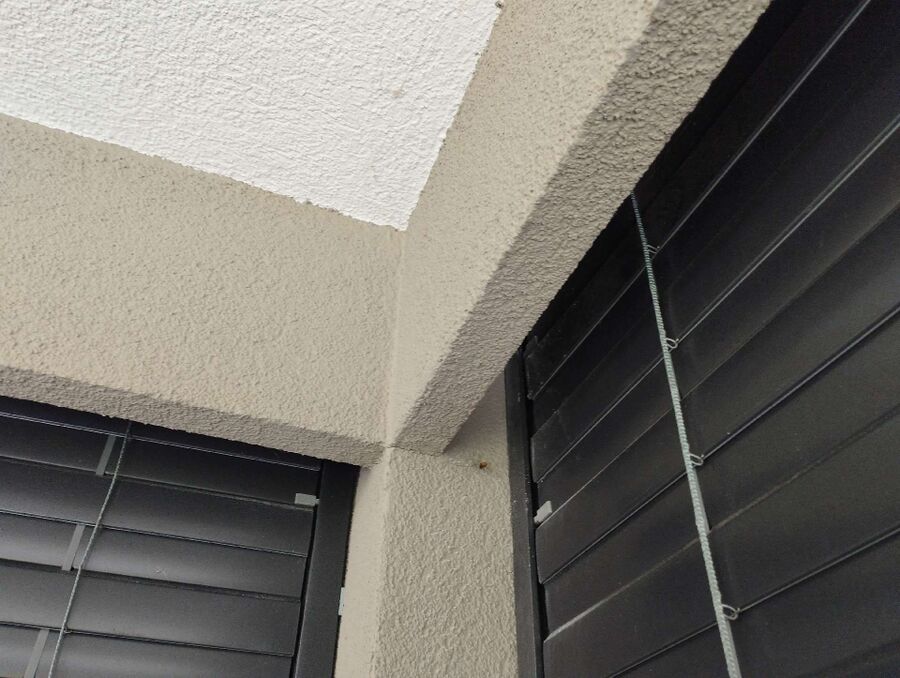  Bienennest entfernen