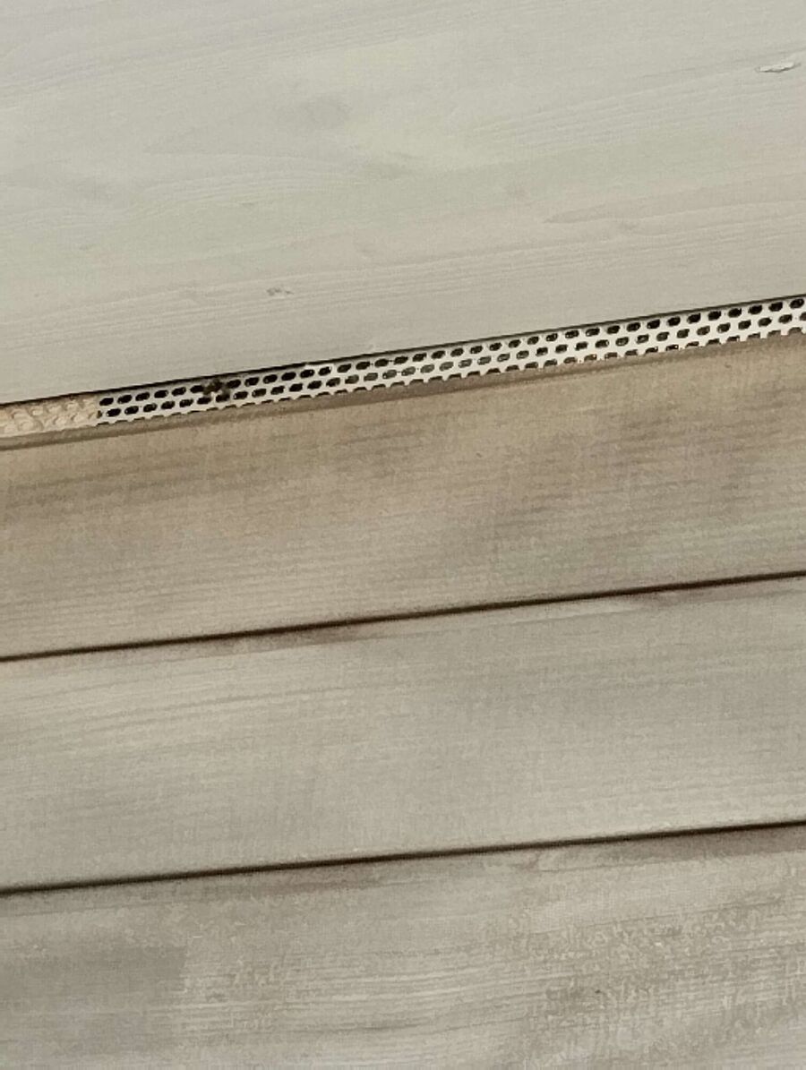  Bienennest entfernen.jpeg