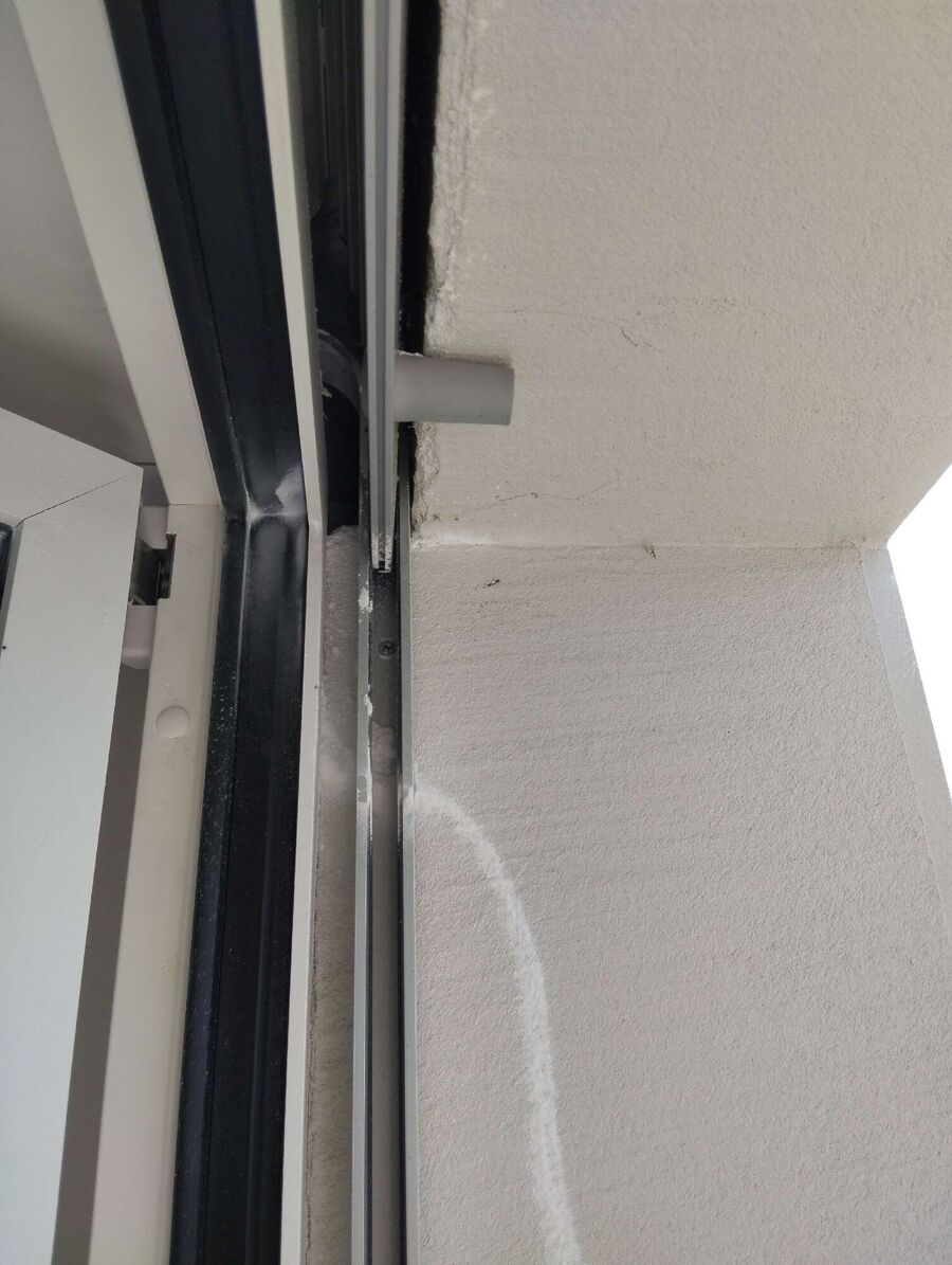 Bienen umsiedeln &  Bienennest entfernen 