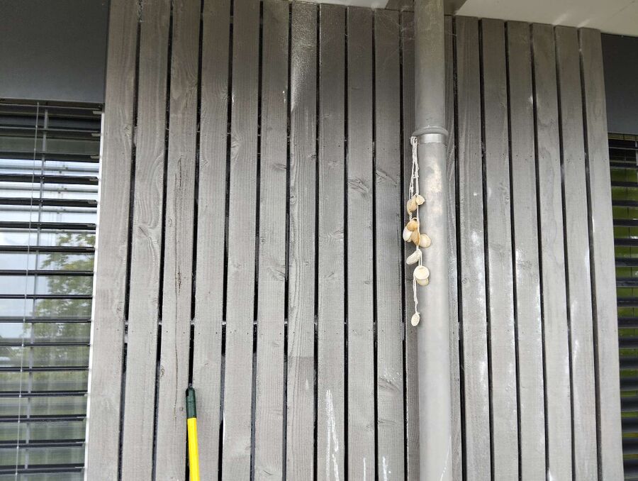  Bienennest entfernen