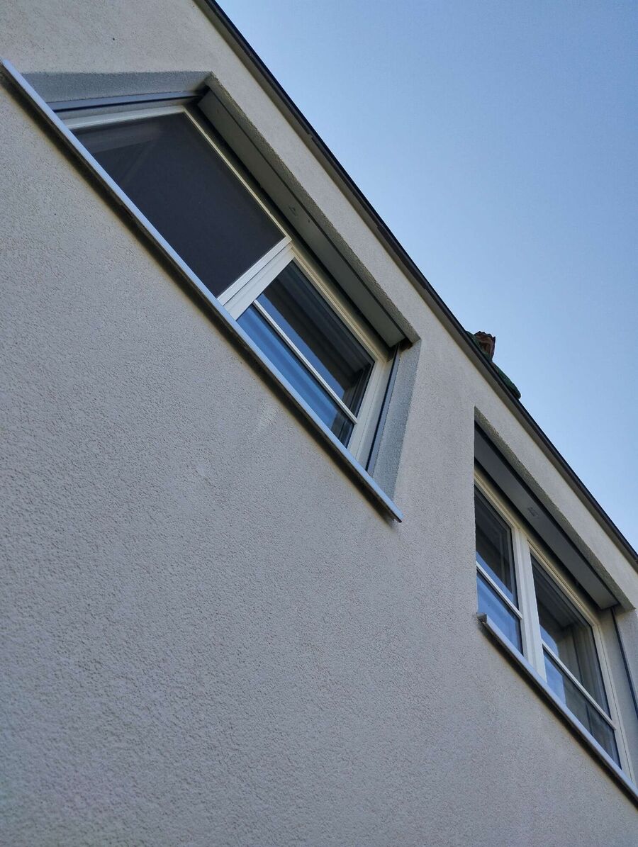 Bienen umsiedeln &  Bienennest entfernen 