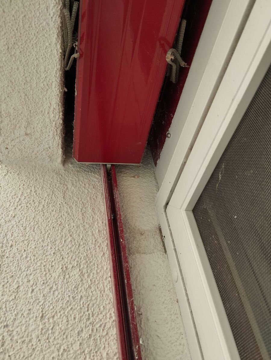 Bienen umsiedeln &  Bienennest entfernen 