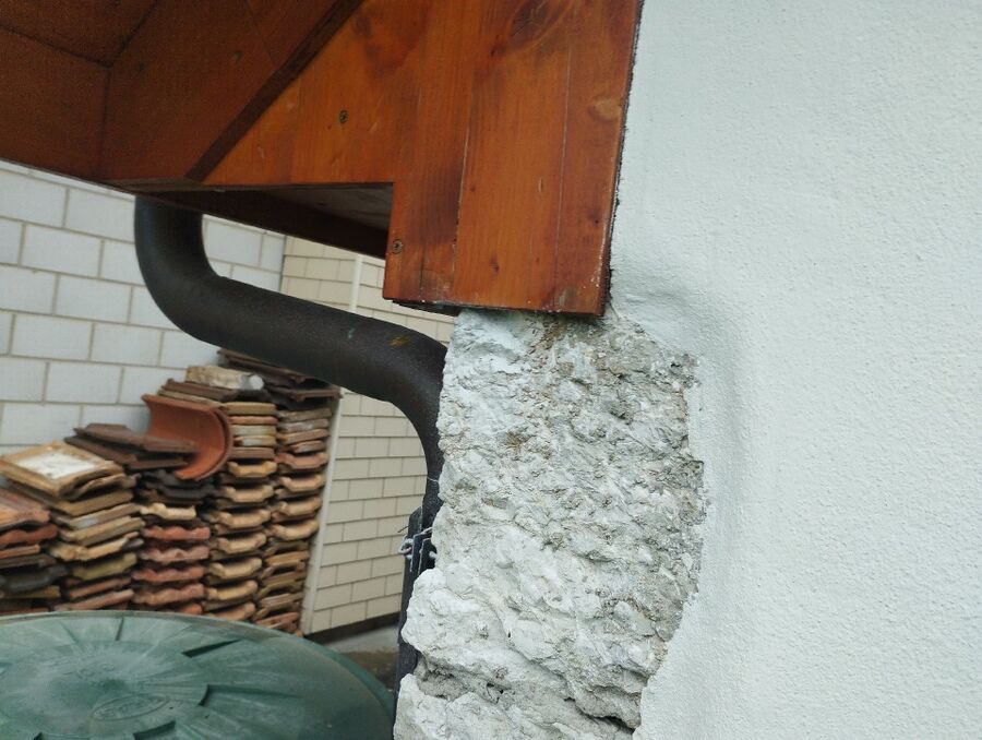  Bienennest entfernen