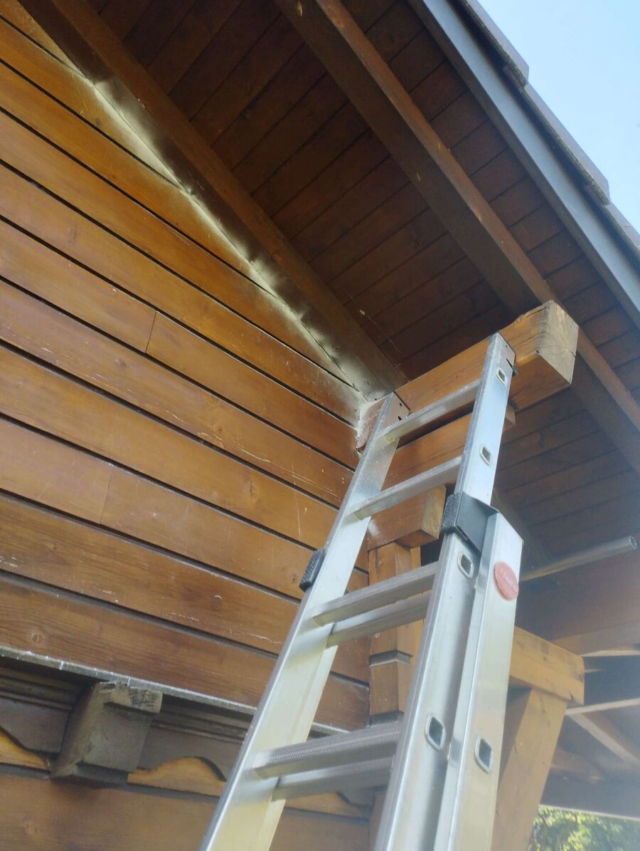  Bienennest entfernen.jpeg