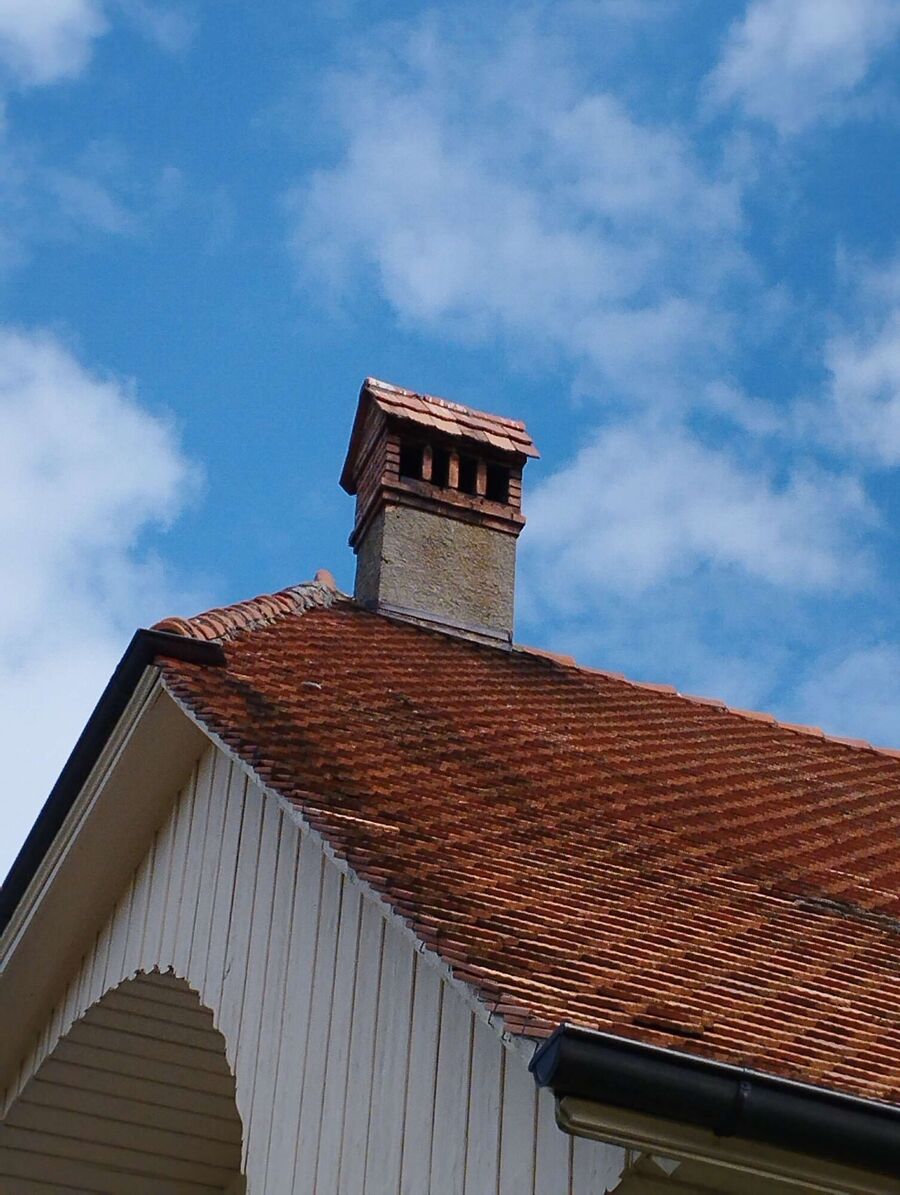 Bienen umsiedeln &  Bienennest entfernen 
