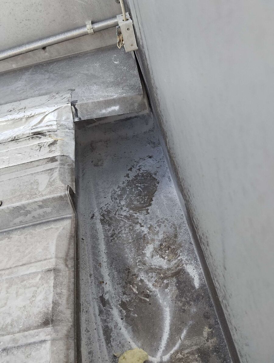 Bienen umsiedeln &  Bienennest entfernen 