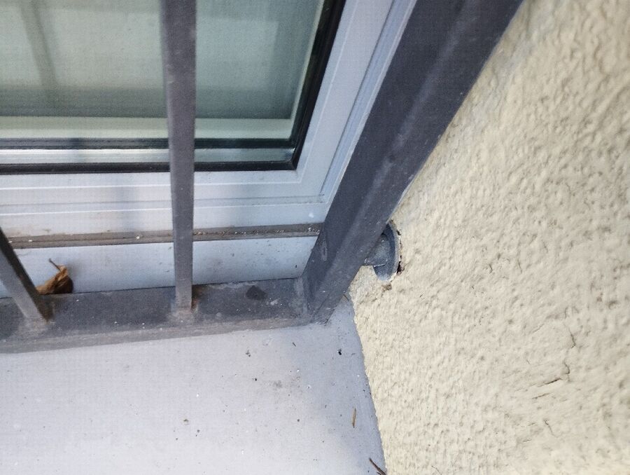  Bienennest entfernen