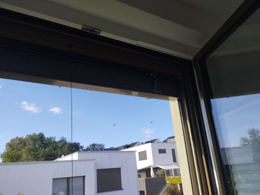  Bienennest entfernen