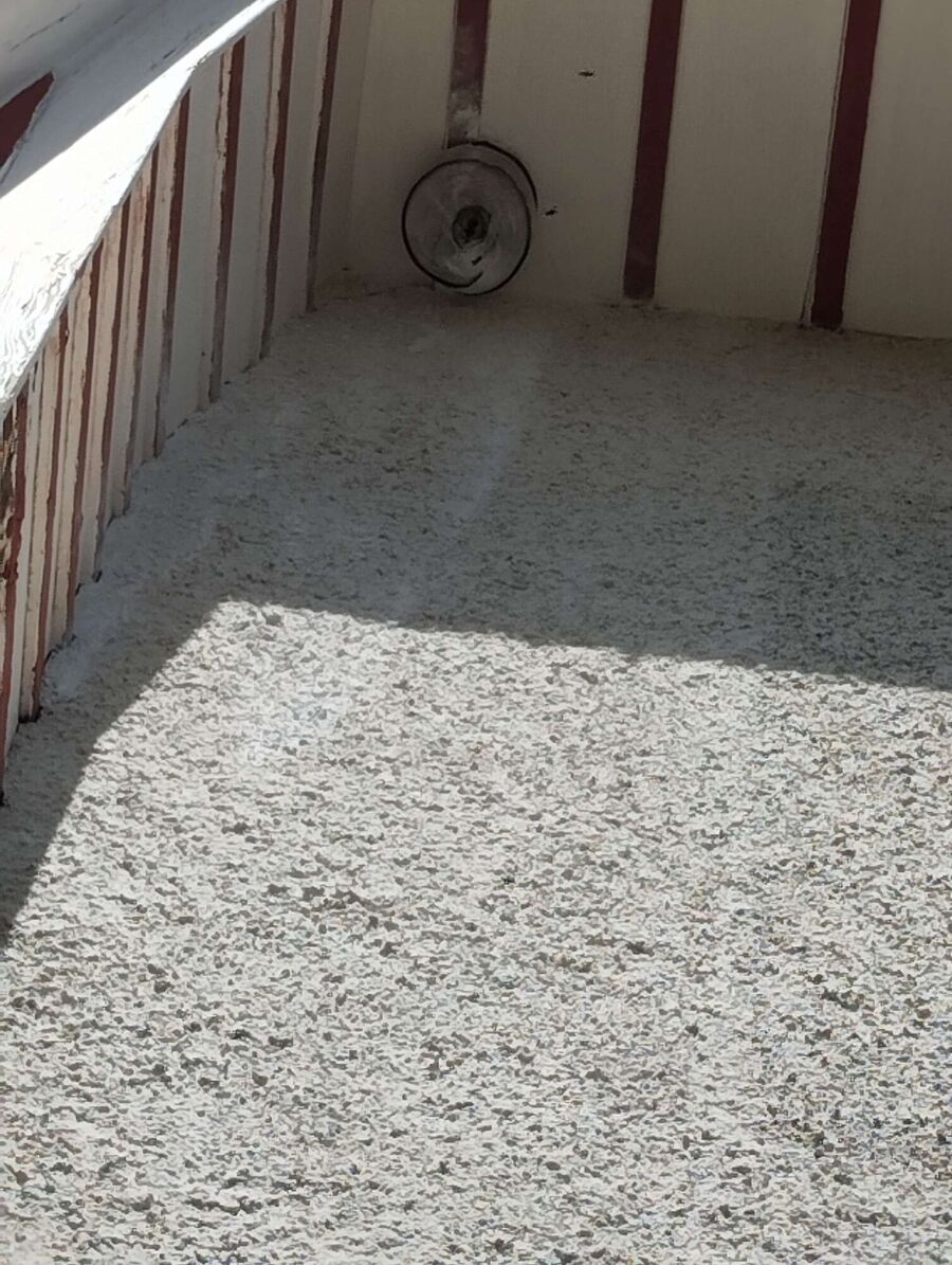 Bienen umsiedeln &  Bienennest entfernen 