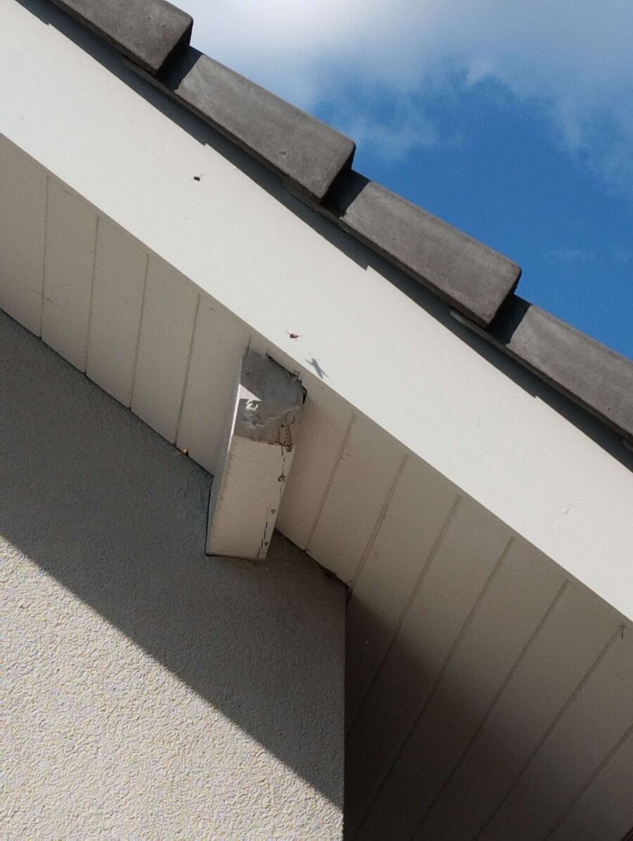  Bienennest entfernen