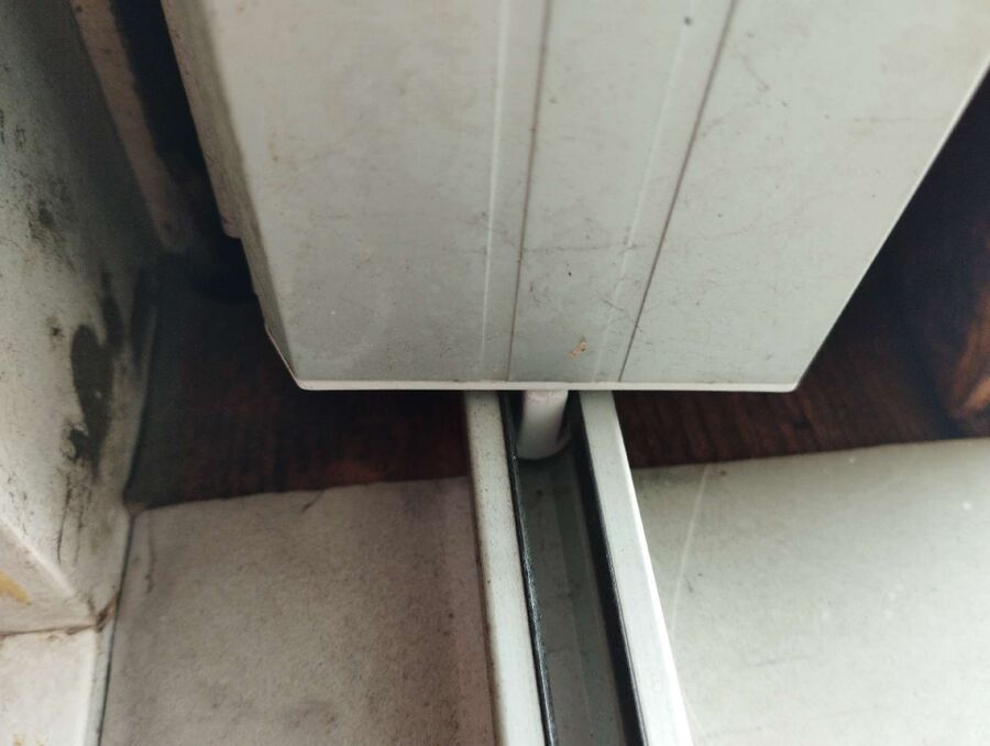 Bienen umsiedeln &  Bienennest entfernen 