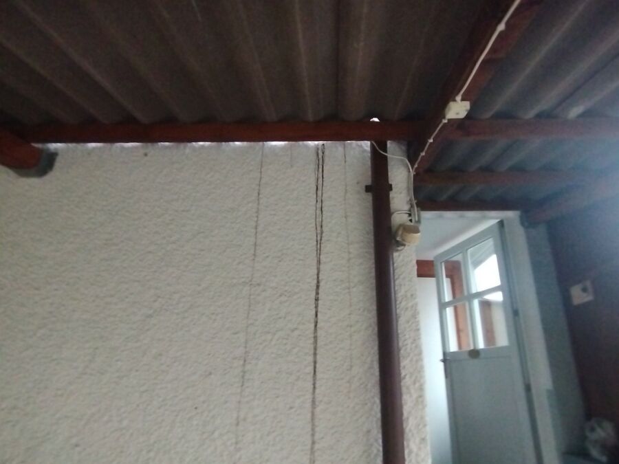  Bienennest entfernen