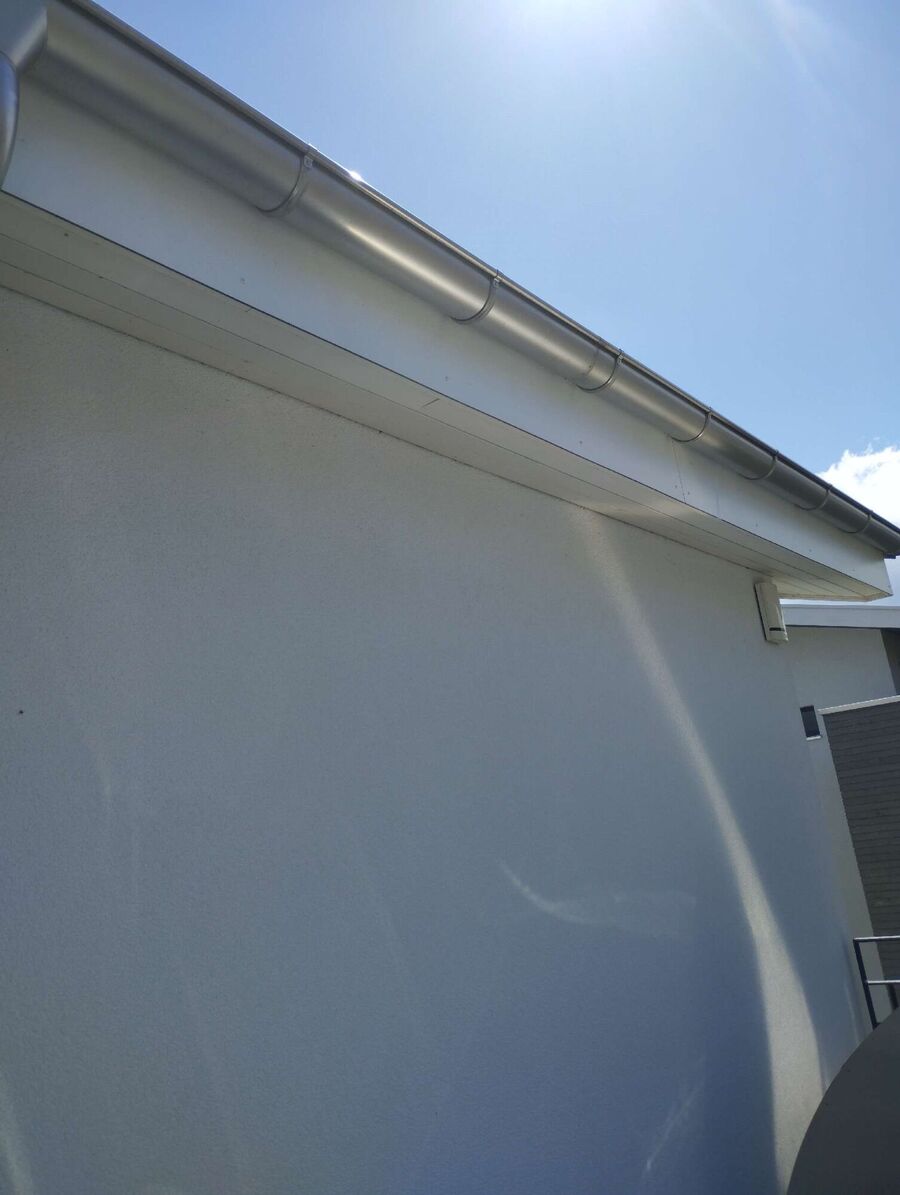  Bienennest entfernen.jpeg