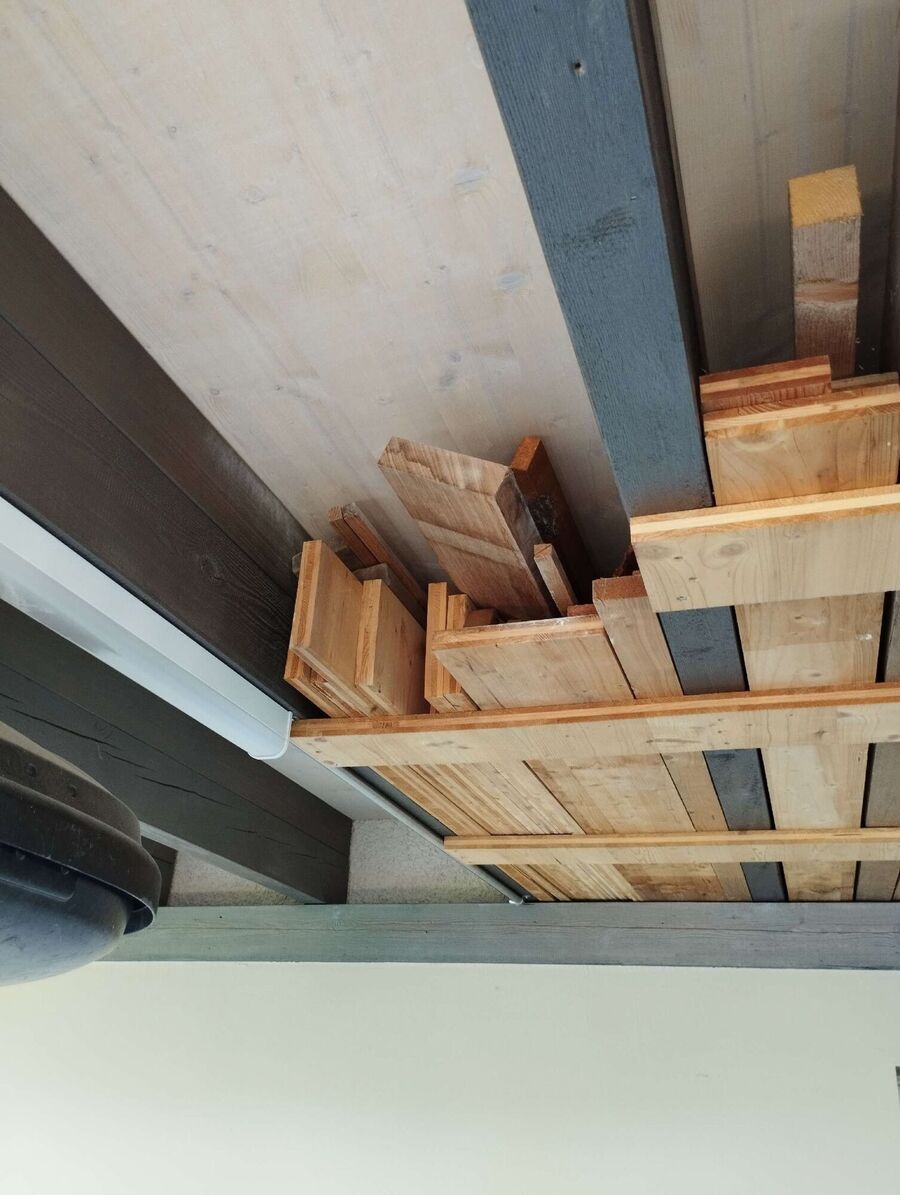  Bienennest entfernen