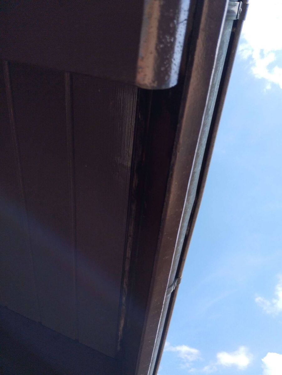 Bienen umsiedeln &  Bienennest entfernen 