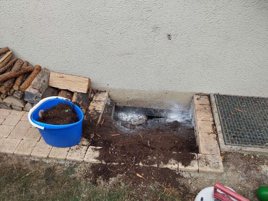  Bienennest entfernen.jpeg