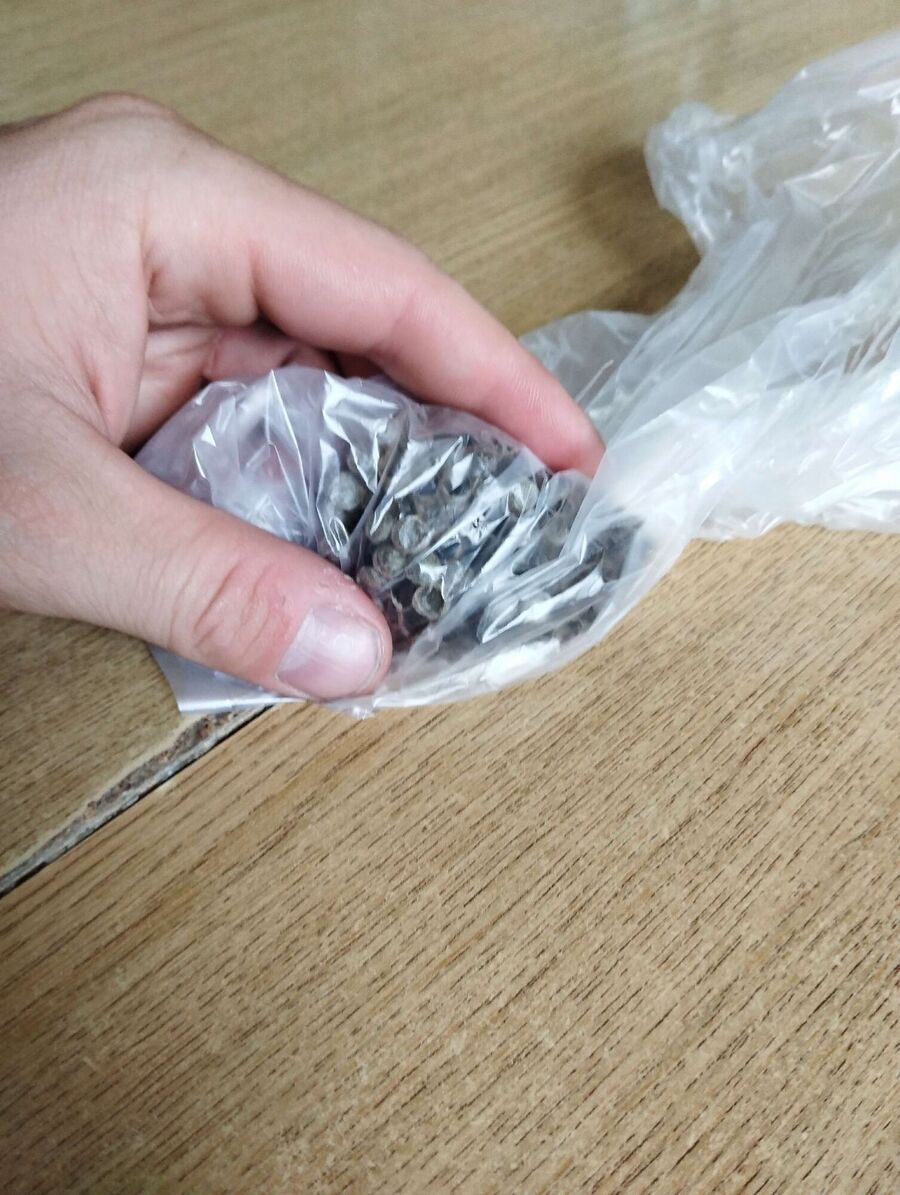  Bienennest entfernen