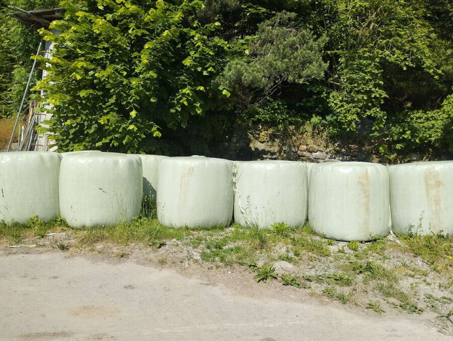  Bienennest entfernen