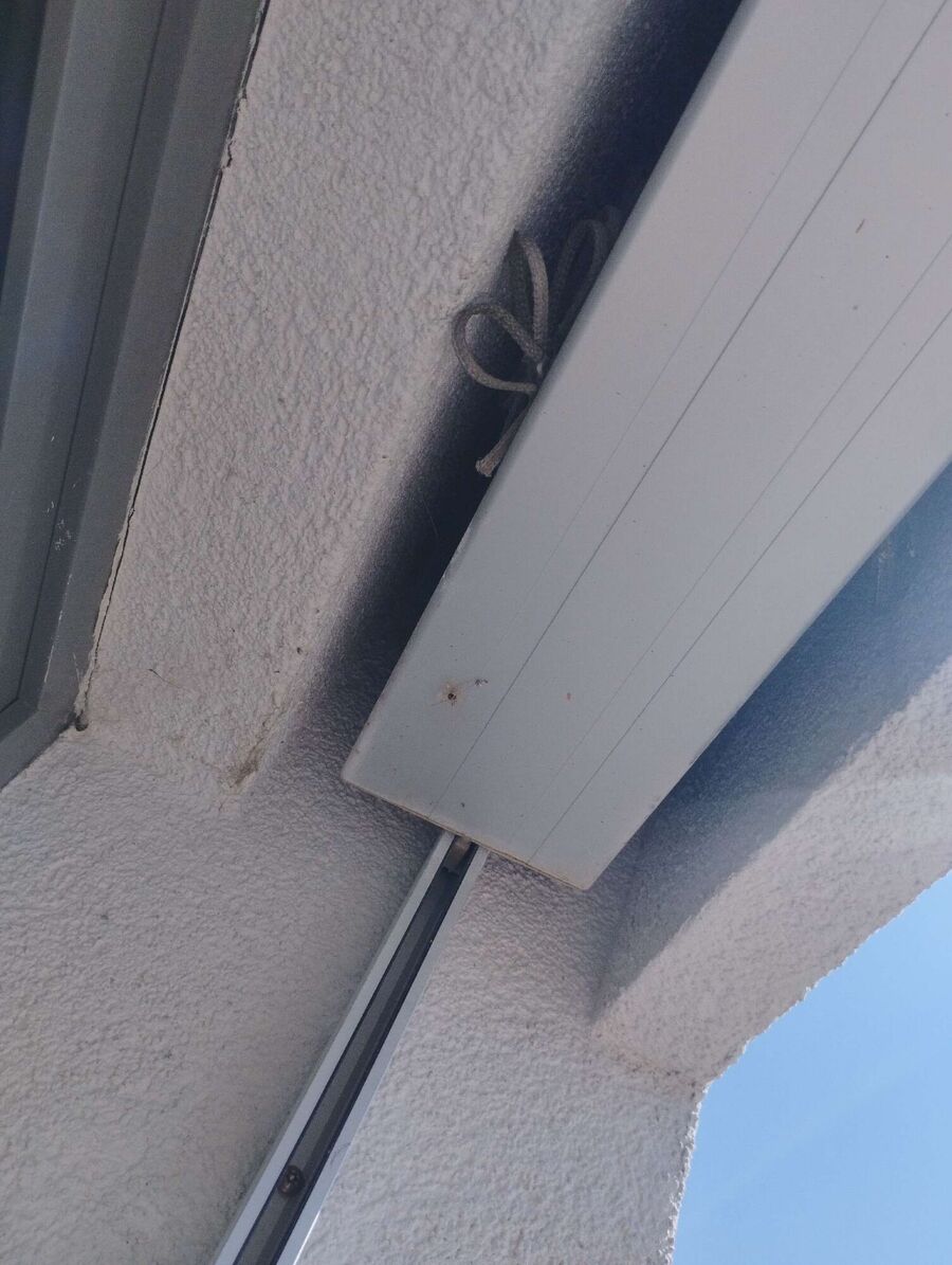  Bienennest entfernen