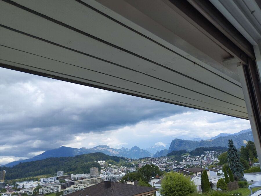  Bienennest entfernen