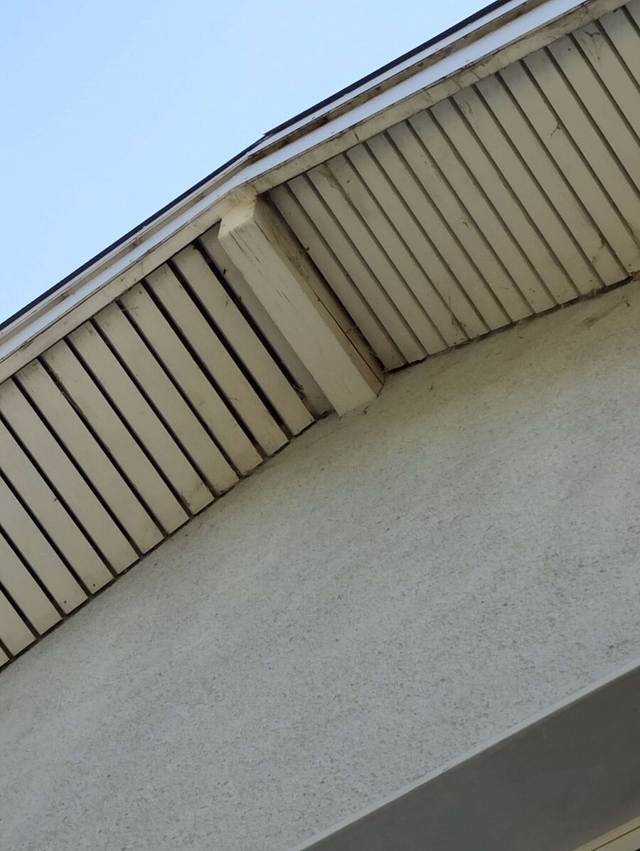 Bienen umsiedeln &  Bienennest entfernen 