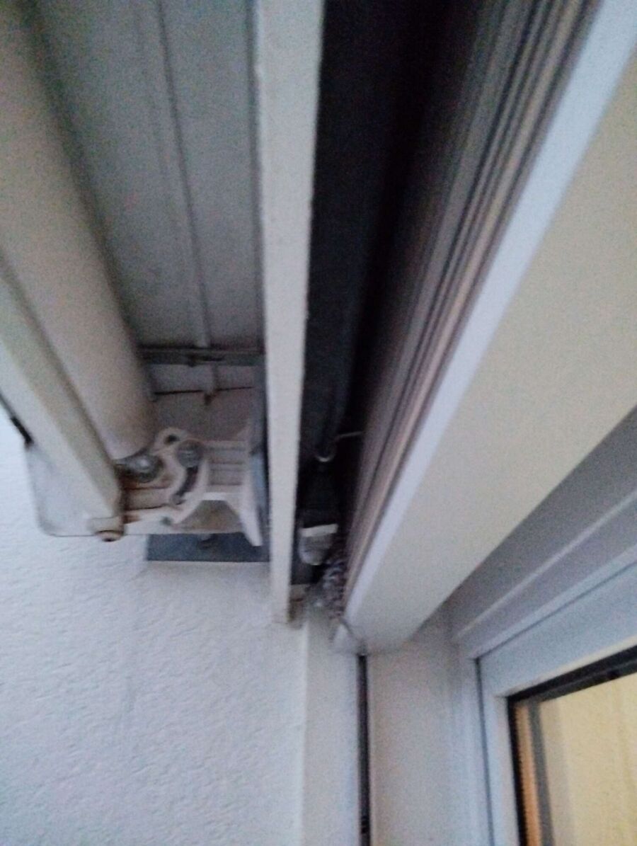  Bienennest entfernen