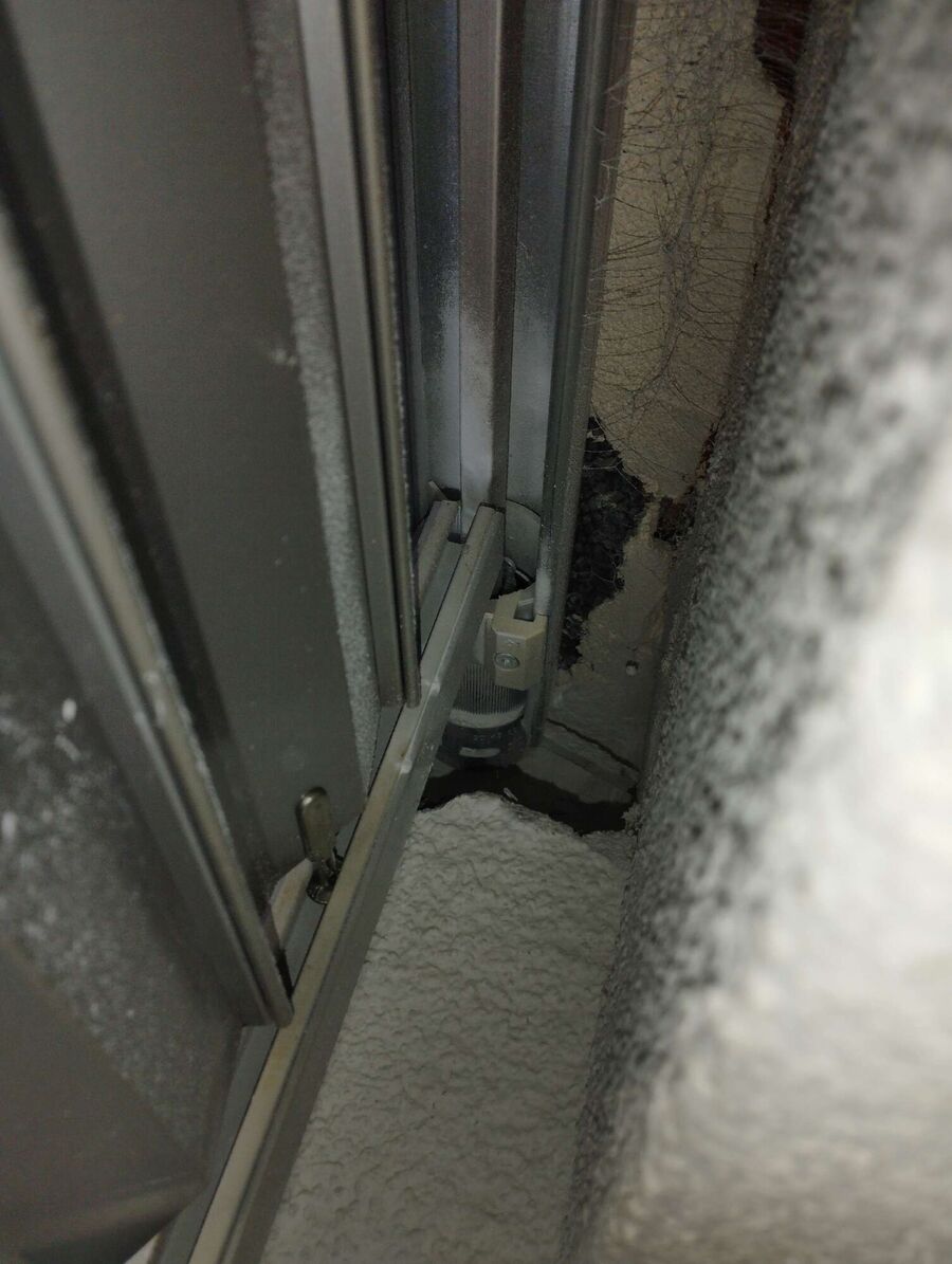  Bienennest entfernen.jpeg