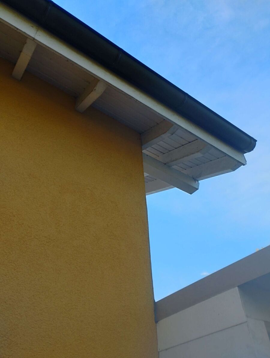  Bienennest entfernen