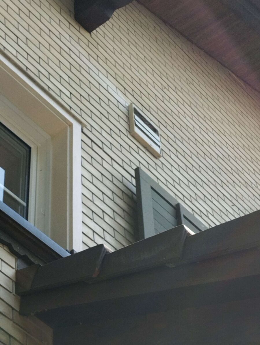  Bienennest entfernen