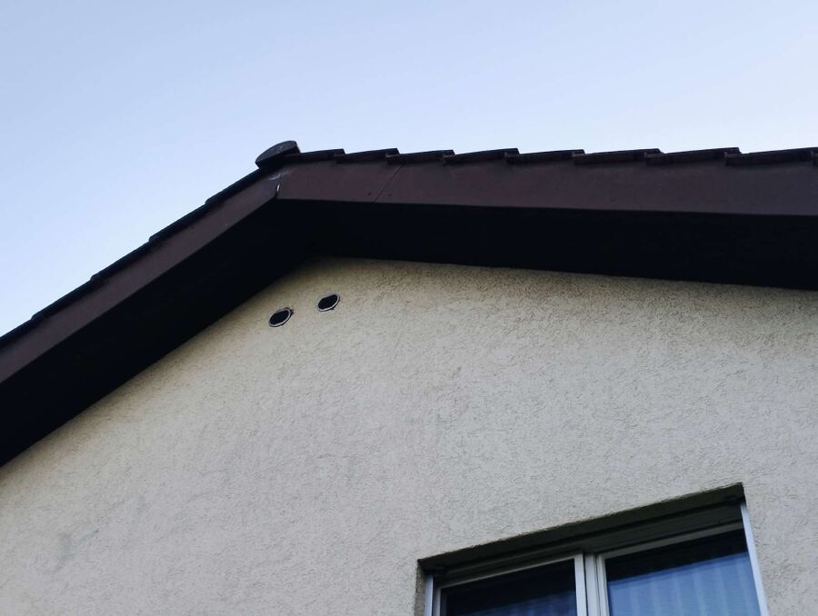  Bienennest entfernen.jpeg