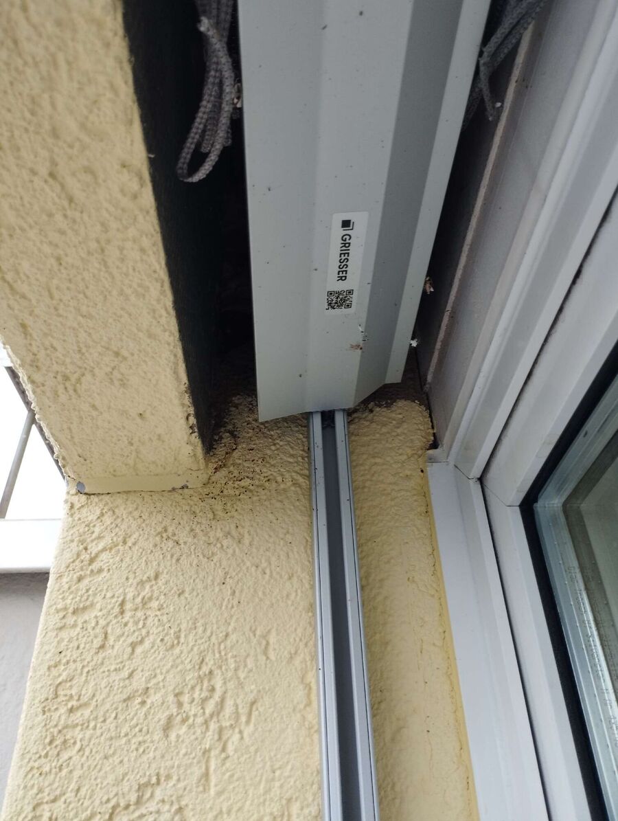 Bienen umsiedeln &  Bienennest entfernen 