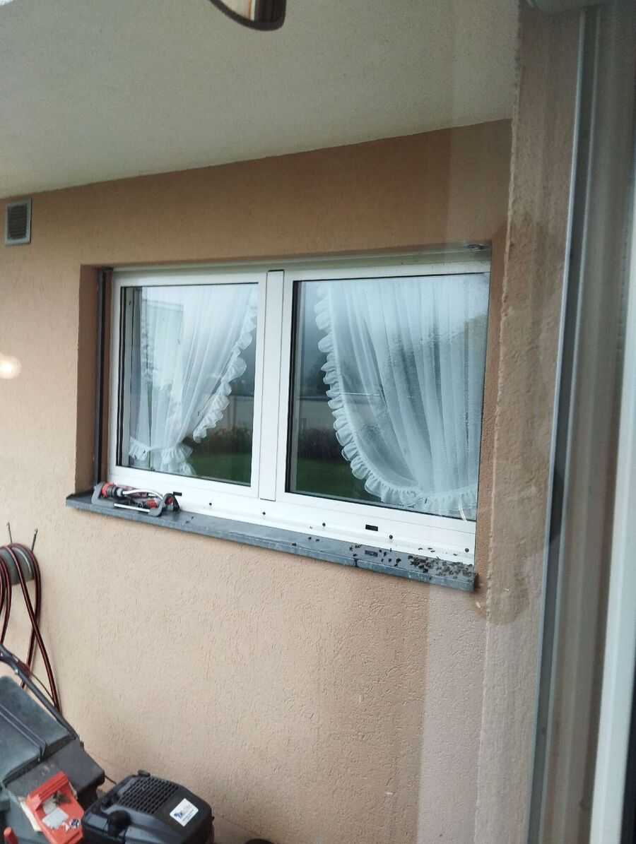  Bienennest entfernen