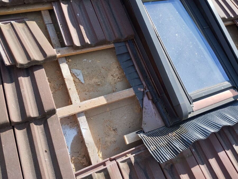  Bienennest entfernen