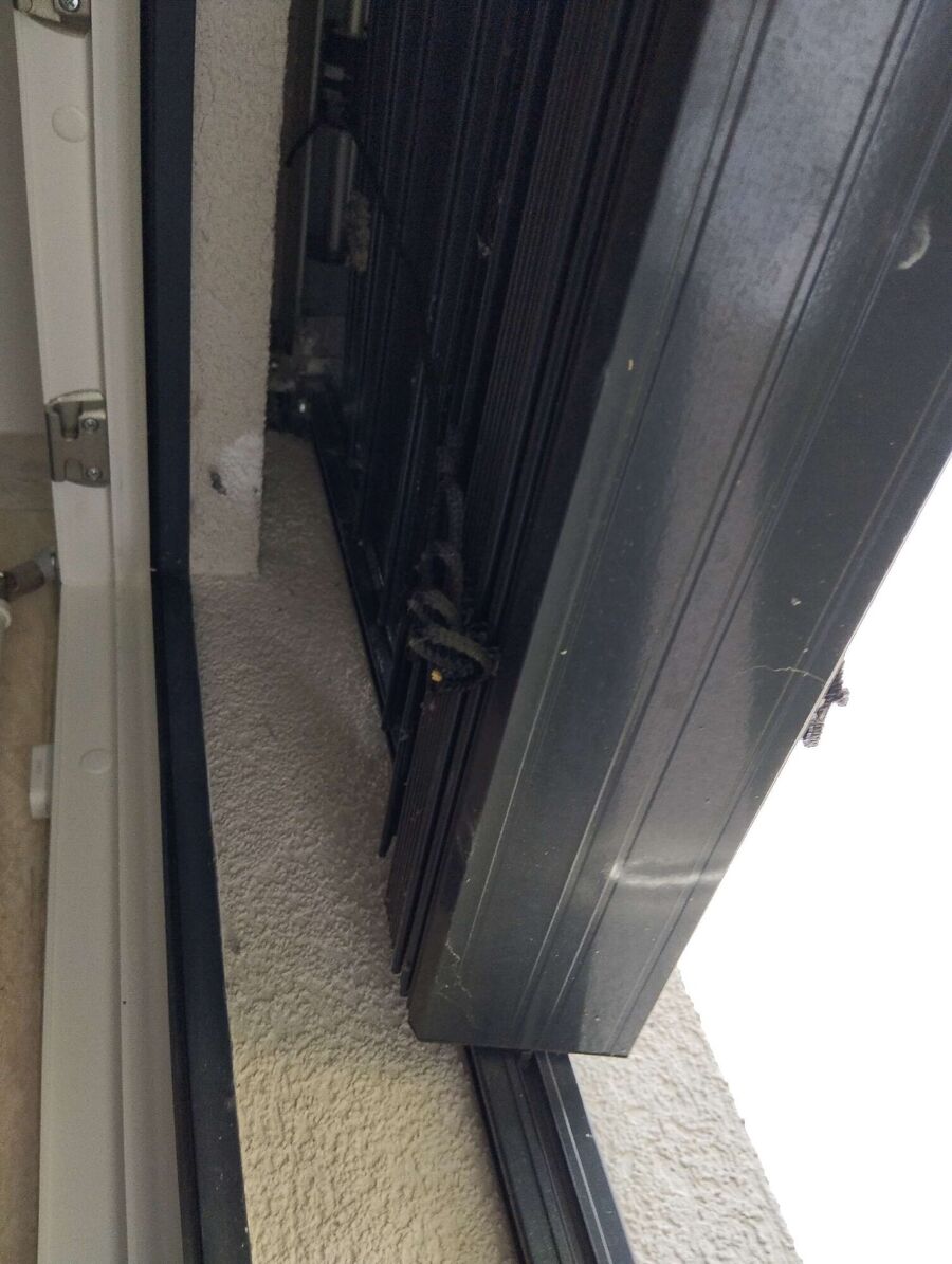  Bienennest entfernen