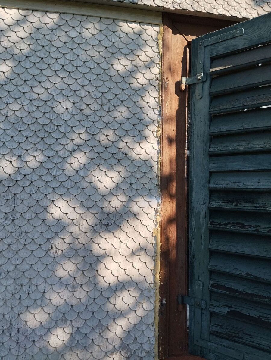  Bienennest entfernen.jpeg