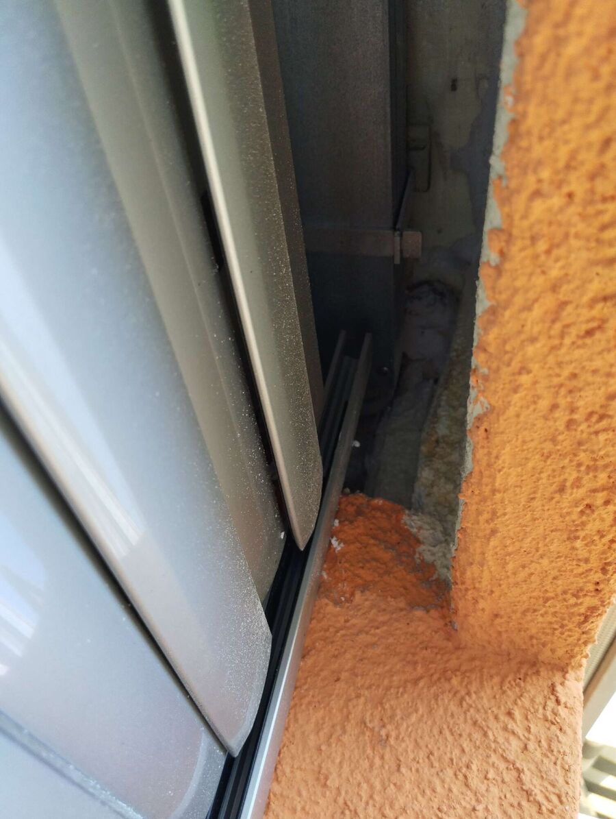  Bienennest entfernen