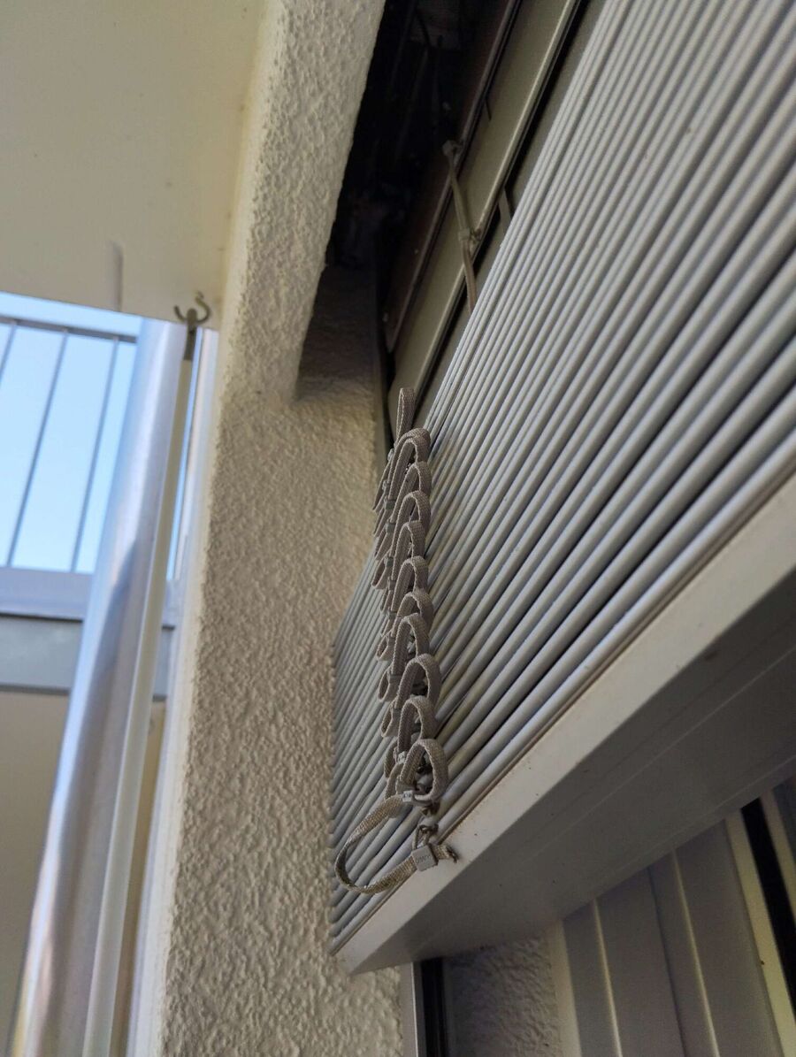  Bienennest entfernen.jpeg