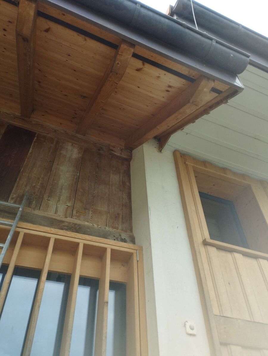  Bienennest entfernen.jpeg