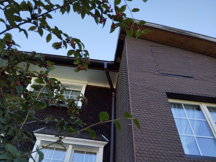  Bienennest entfernen.jpeg