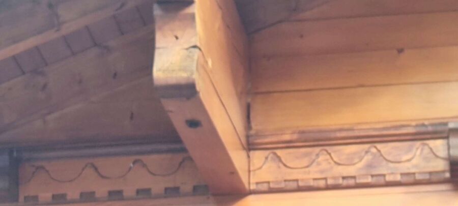  Bienennest entfernen