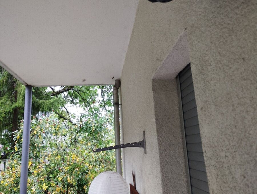  Bienennest entfernen