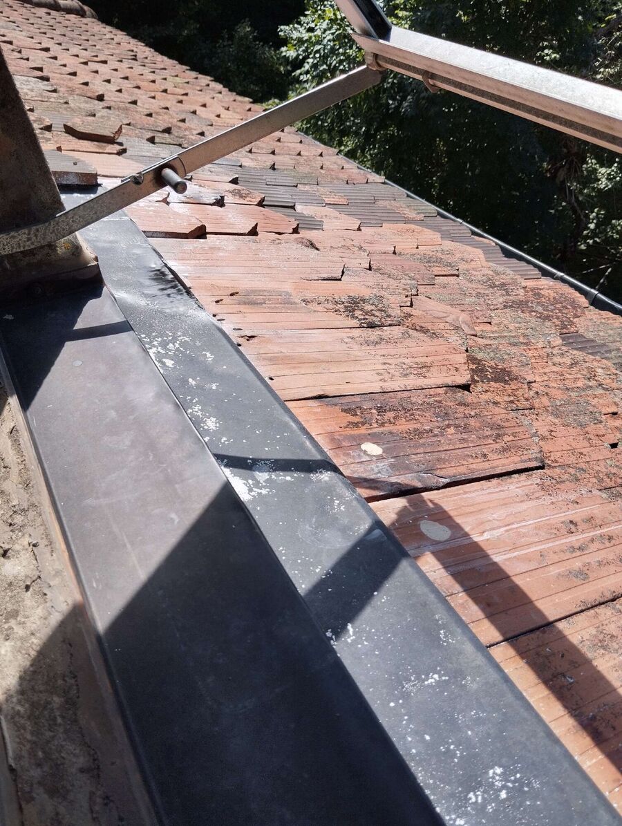  Bienennest entfernen.jpeg