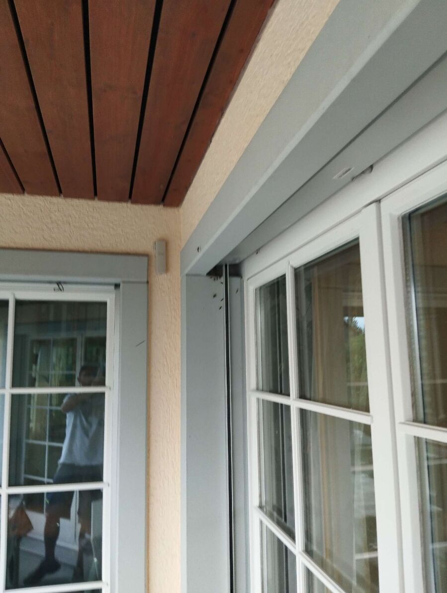 bienennest-am-haus-entfernen.jpg