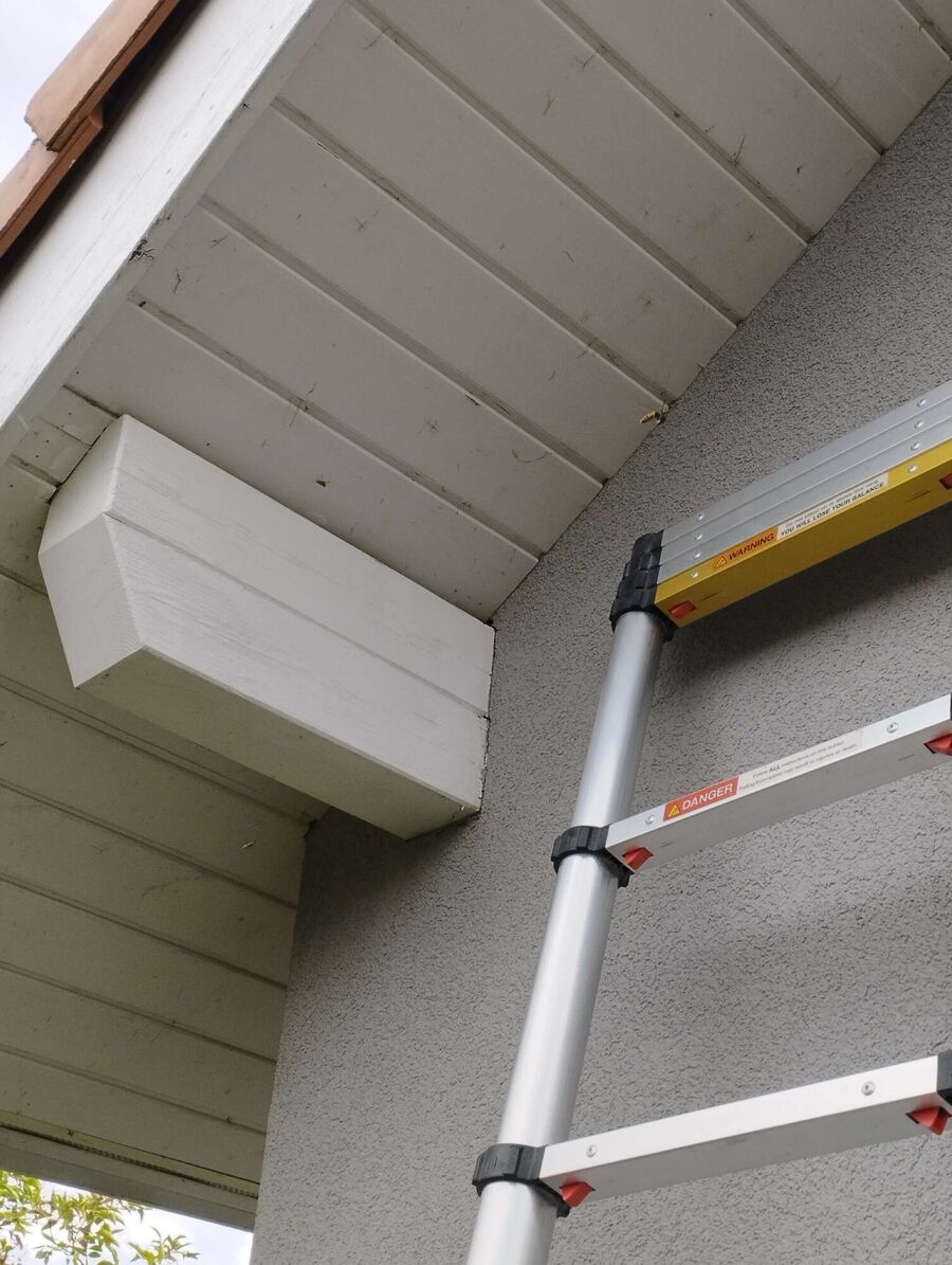  Bienennest entfernen