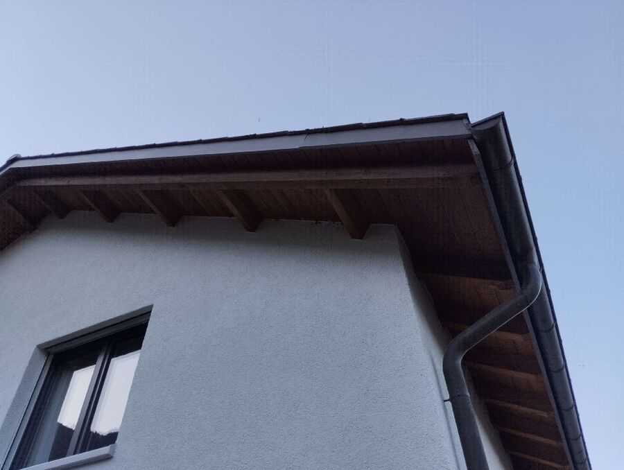 Bienen umsiedeln &  Bienennest entfernen 